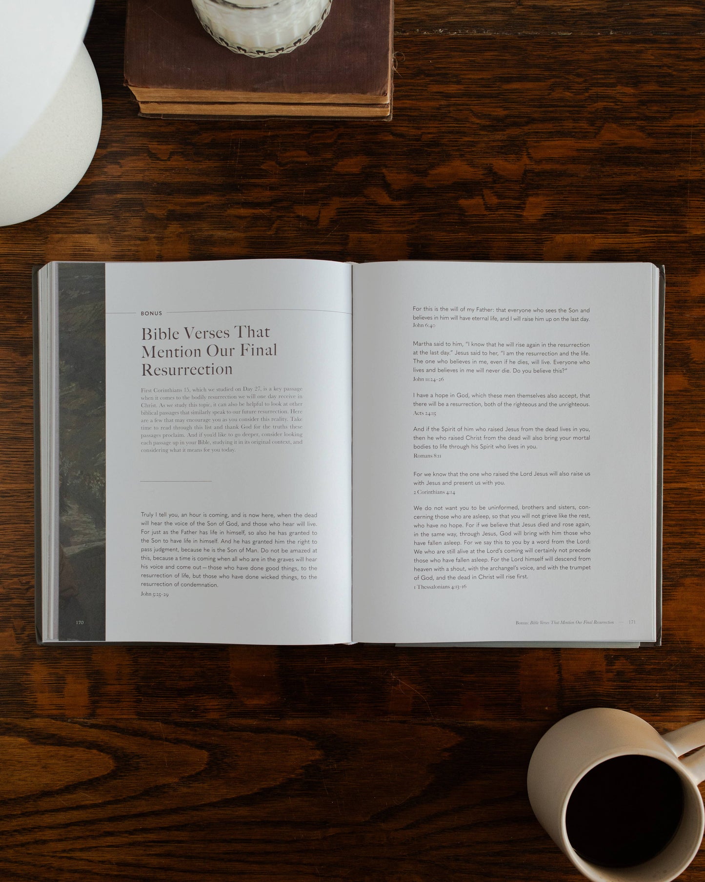 Clinging to the Cross | Lent Bible Study (Hardcover)