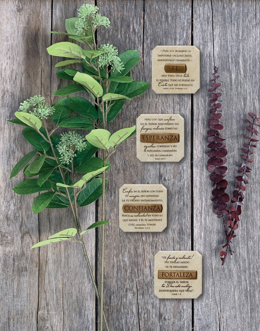 LCP Spanish Plq Bronze-Finish Title Bar Confianza