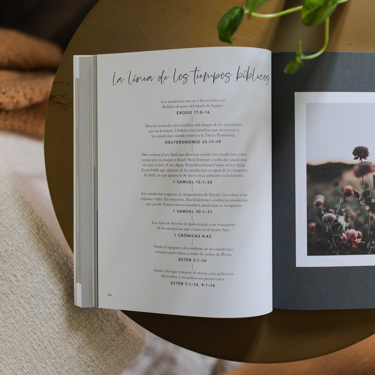 Ester | Viendo a Dios cuando está en silencio | Esther Spanish Edition