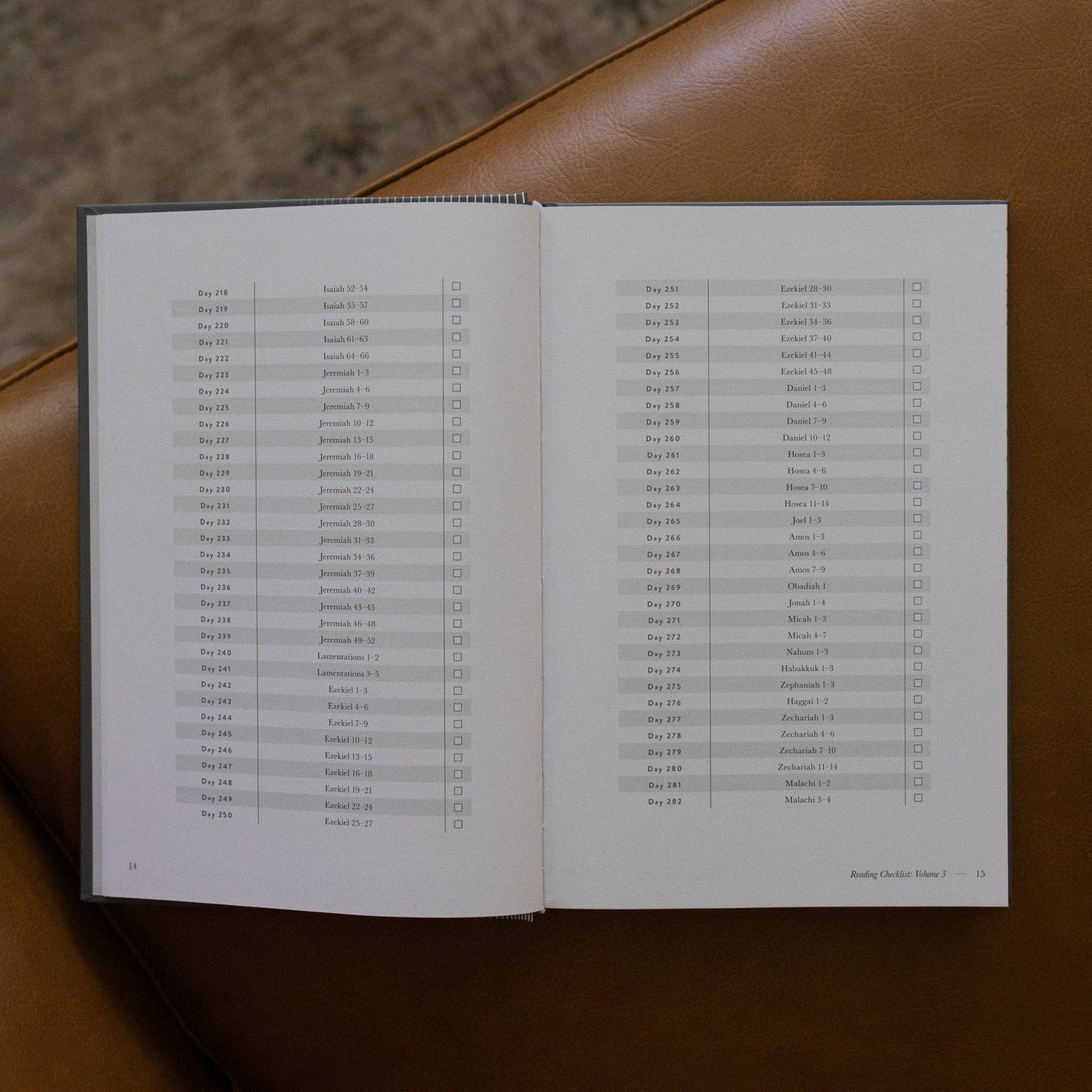 A Year in the Bible | Men's Study | 365 Days of Discovering the Beauty of Jesus from Genesis to Revelation | Volume 3